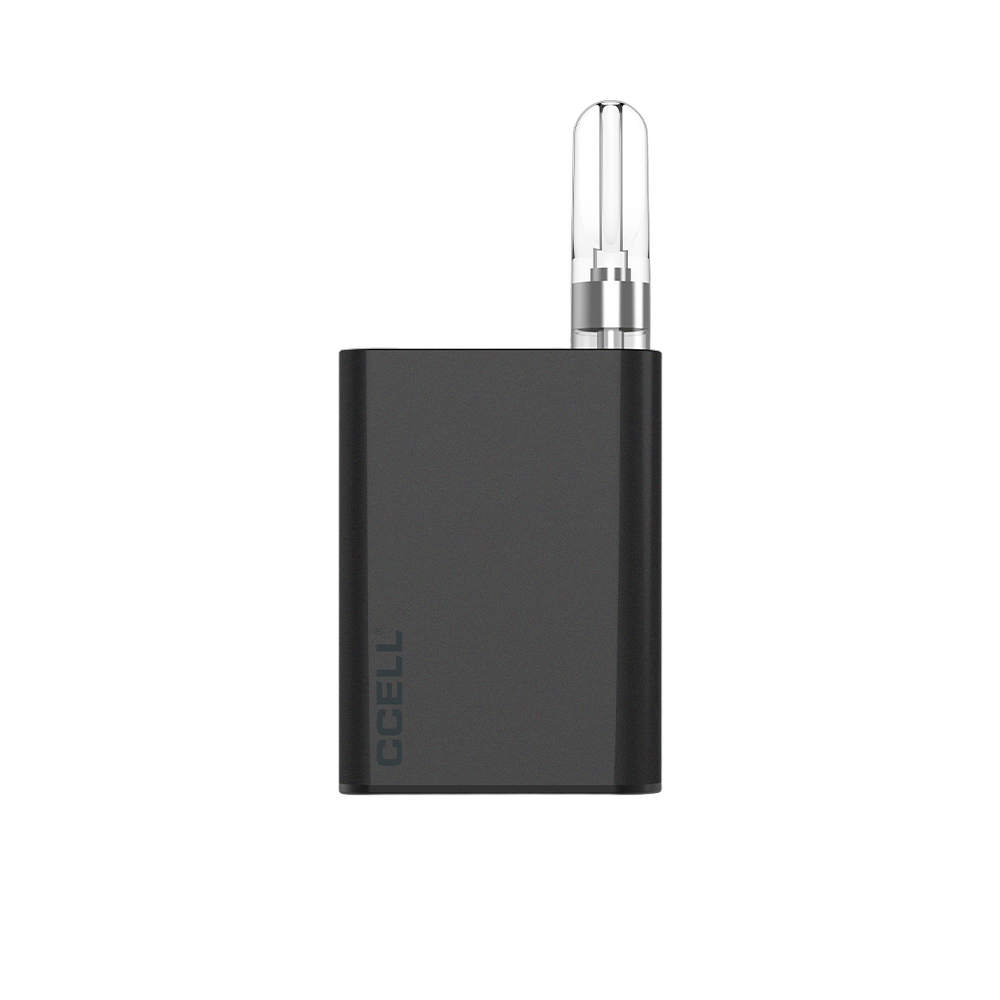 Palm Pro